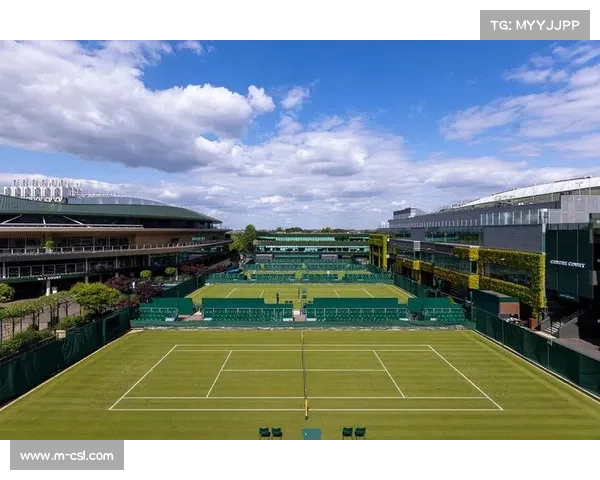 温网草地养护技术升级，降雨应对方案完善